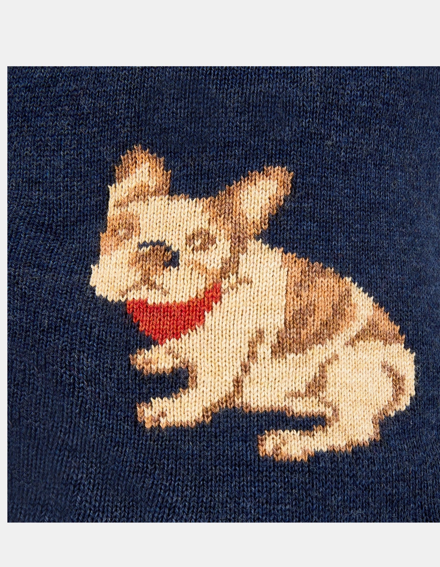 L'heure du conte avec des cache-oreilles bio - Bouledogue français - Toshi