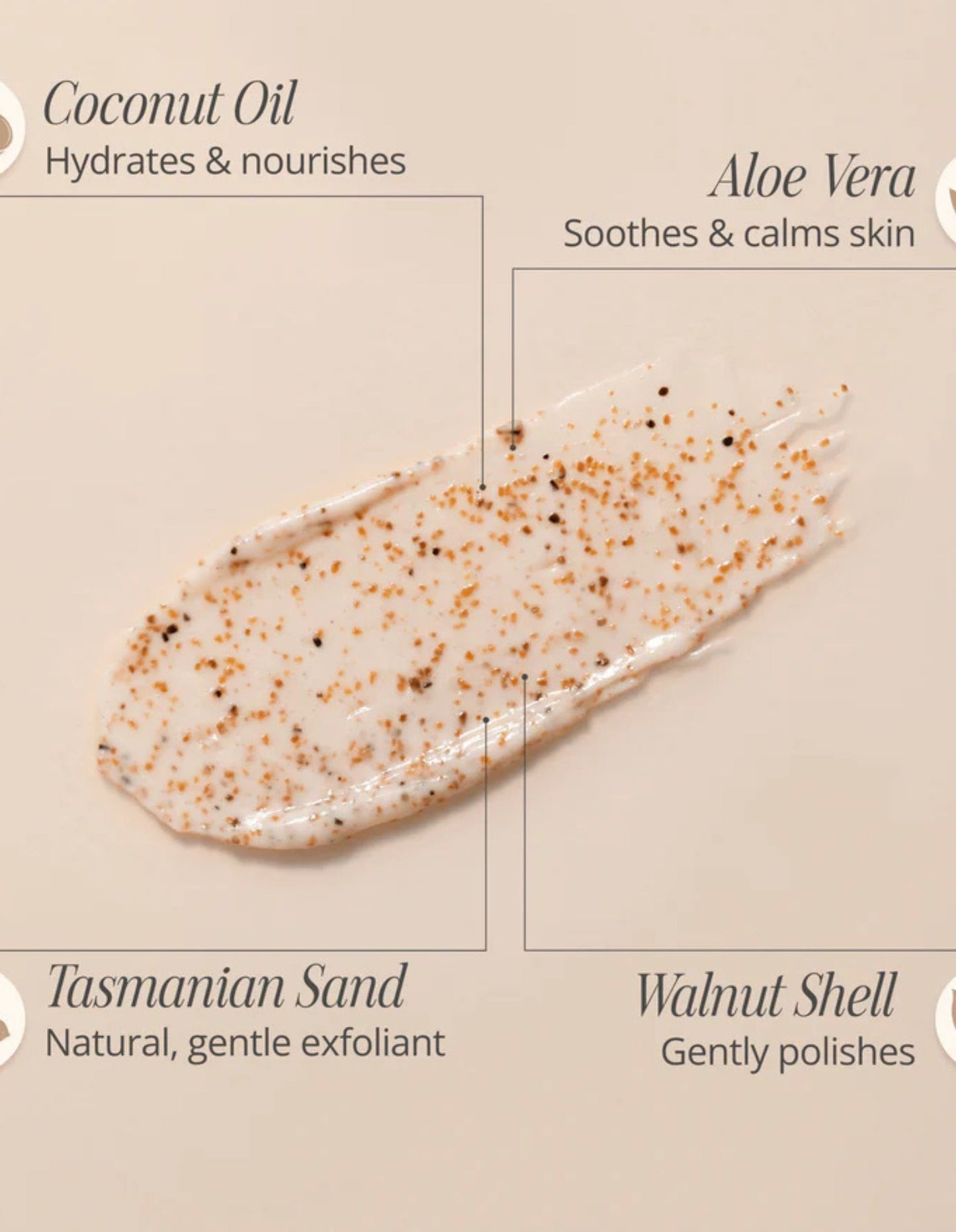 Tasmanian Sand Scrub 150g - Trois Guerriers