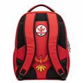 Team Valor Backpack Back View