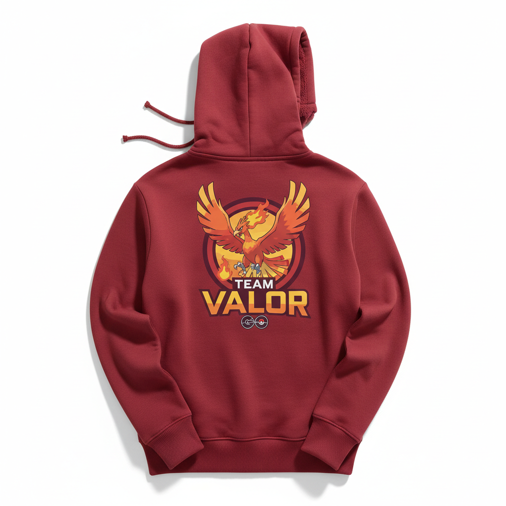 Team Valor Hoodie Back View