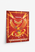 Team Valor Poster Full View