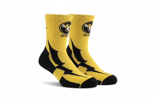Pokemon Instinct Socks