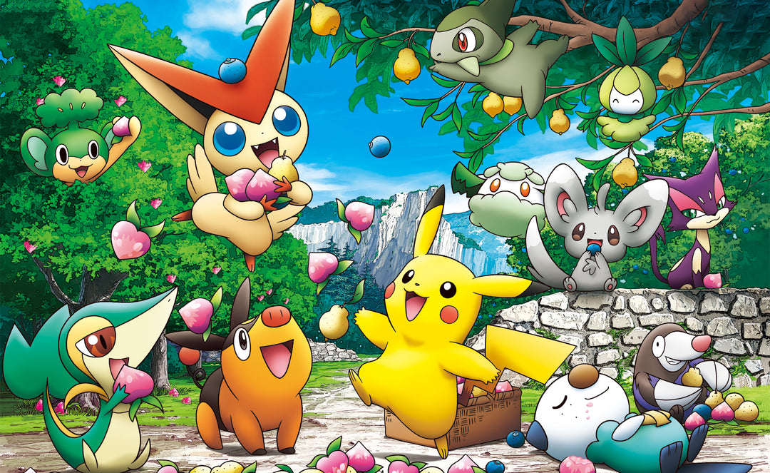 Pokemon Generation 5 poster